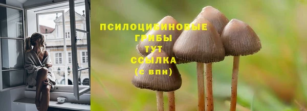 jwh Арсеньев
