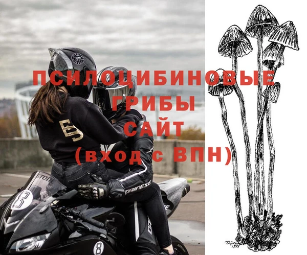 спайс Оленегорск