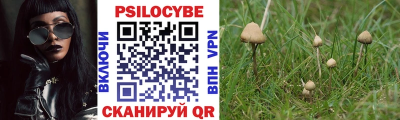 Псилоцибиновые грибы Psilocybine cubensis  магазин продажи   Удомля 